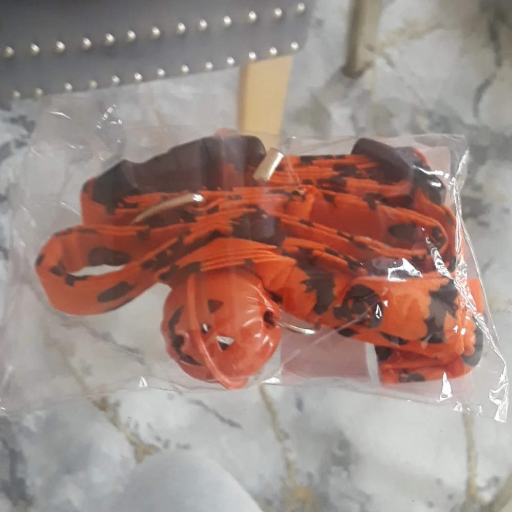 Halloween dog collar